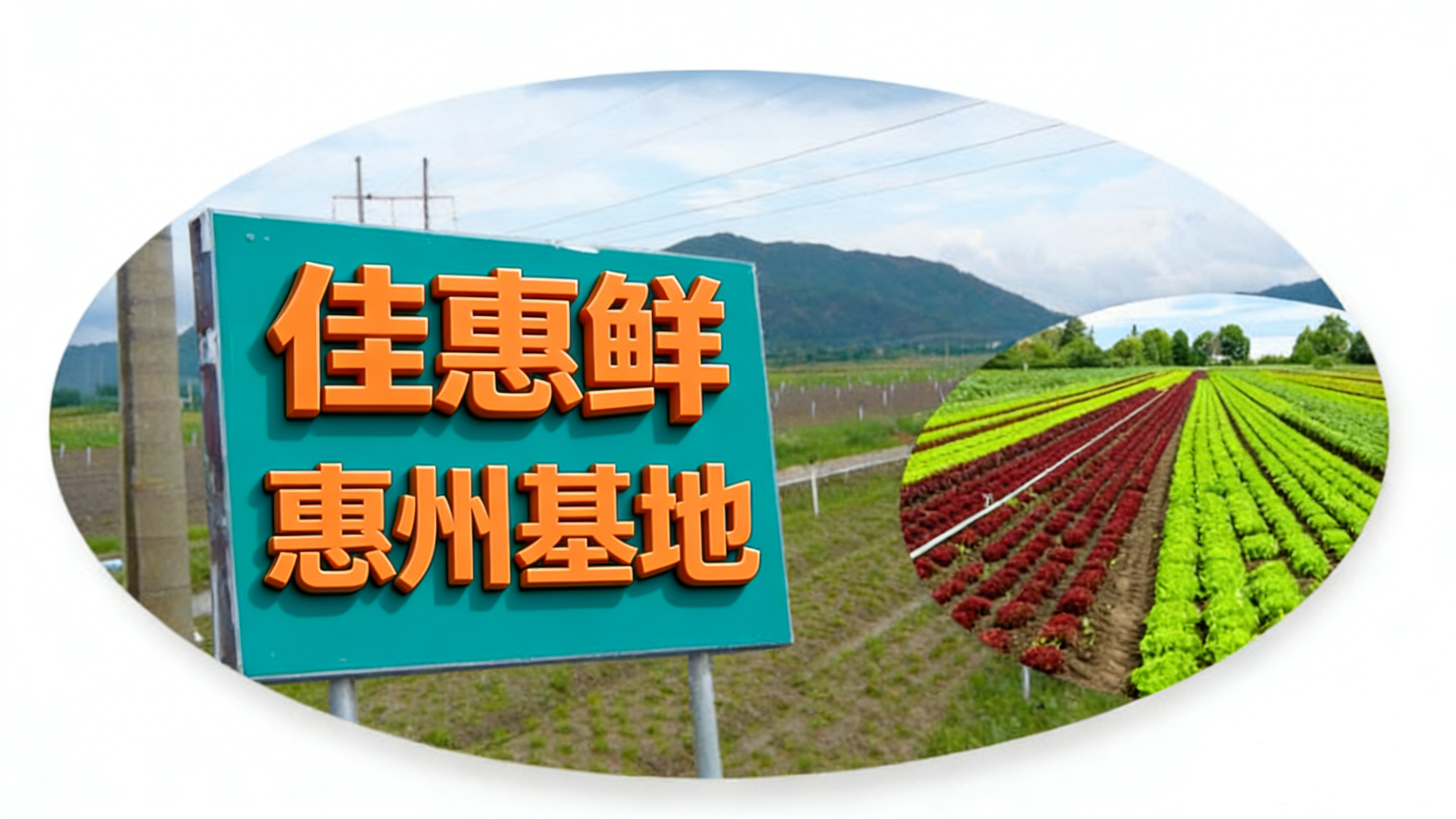 價(jià)格優(yōu)勢