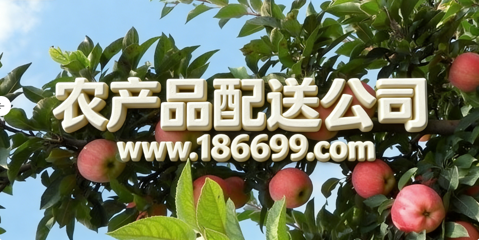 全球蘋果種植面積和產(chǎn)量最多的國(guó)家是哪里？