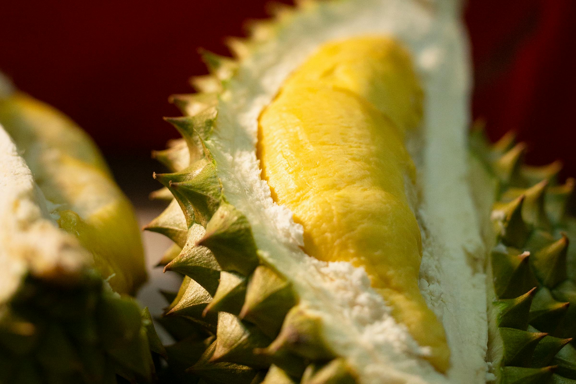 榴蓮：熱帶水果之王的營養奧秘